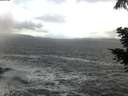 ./images/koeye/fitz-hugh/20201105/fitz-hugh20201105_111002.jpg