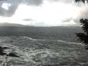 ./images/koeye/fitz-hugh/20201105/fitz-hugh20201105_111502.jpg