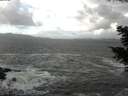 ./images/koeye/fitz-hugh/20201105/fitz-hugh20201105_112002.jpg
