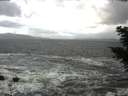 ./images/koeye/fitz-hugh/20201105/fitz-hugh20201105_112502.jpg
