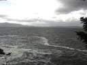 ./images/koeye/fitz-hugh/20201105/fitz-hugh20201105_113002.jpg