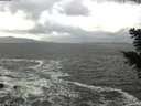 ./images/koeye/fitz-hugh/20201105/fitz-hugh20201105_113502.jpg