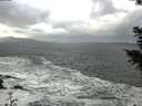 ./images/koeye/fitz-hugh/20201105/fitz-hugh20201105_114002.jpg