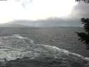./images/koeye/fitz-hugh/20201105/fitz-hugh20201105_114502.jpg
