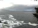 ./images/koeye/fitz-hugh/20201105/fitz-hugh20201105_115002.jpg