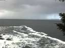 ./images/koeye/fitz-hugh/20201105/fitz-hugh20201105_115502.jpg