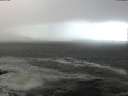 ./images/koeye/fitz-hugh/20201105/fitz-hugh20201105_120002.jpg