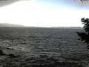 ./images/koeye/fitz-hugh/20201105/fitz-hugh20201105_120501.jpg