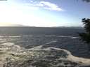 ./images/koeye/fitz-hugh/20201105/fitz-hugh20201105_123001.jpg