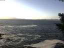 ./images/koeye/fitz-hugh/20201105/fitz-hugh20201105_124501.jpg