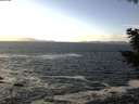 ./images/koeye/fitz-hugh/20201105/fitz-hugh20201105_125001.jpg