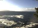 ./images/koeye/fitz-hugh/20201105/fitz-hugh20201105_125501.jpg
