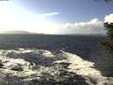 ./images/koeye/fitz-hugh/20201105/fitz-hugh20201105_130001.jpg