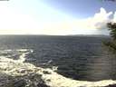 ./images/koeye/fitz-hugh/20201105/fitz-hugh20201105_130501.jpg