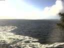 ./images/koeye/fitz-hugh/20201105/fitz-hugh20201105_131001.jpg