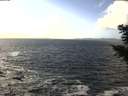 ./images/koeye/fitz-hugh/20201105/fitz-hugh20201105_131501.jpg