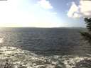 ./images/koeye/fitz-hugh/20201105/fitz-hugh20201105_132001.jpg