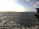 ./images/koeye/fitz-hugh/20201105/fitz-hugh20201105_132501.jpg