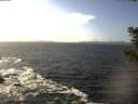 ./images/koeye/fitz-hugh/20201105/fitz-hugh20201105_133501.jpg