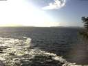 ./images/koeye/fitz-hugh/20201105/fitz-hugh20201105_134501.jpg