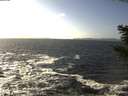 ./images/koeye/fitz-hugh/20201105/fitz-hugh20201105_140002.jpg