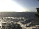 ./images/koeye/fitz-hugh/20201105/fitz-hugh20201105_140502.jpg