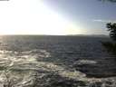 ./images/koeye/fitz-hugh/20201105/fitz-hugh20201105_141002.jpg