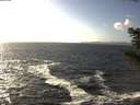 ./images/koeye/fitz-hugh/20201105/fitz-hugh20201105_142002.jpg