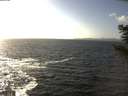 ./images/koeye/fitz-hugh/20201105/fitz-hugh20201105_142502.jpg