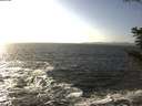 ./images/koeye/fitz-hugh/20201105/fitz-hugh20201105_143002.jpg
