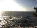 ./images/koeye/fitz-hugh/20201105/fitz-hugh20201105_143502.jpg