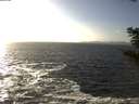./images/koeye/fitz-hugh/20201105/fitz-hugh20201105_144002.jpg