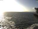 ./images/koeye/fitz-hugh/20201105/fitz-hugh20201105_145002.jpg