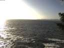 ./images/koeye/fitz-hugh/20201105/fitz-hugh20201105_145502.jpg
