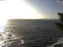 ./images/koeye/fitz-hugh/20201105/fitz-hugh20201105_150002.jpg