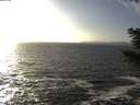 ./images/koeye/fitz-hugh/20201105/fitz-hugh20201105_150501.jpg