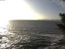 ./images/koeye/fitz-hugh/20201105/fitz-hugh20201105_151001.jpg
