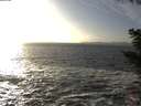 ./images/koeye/fitz-hugh/20201105/fitz-hugh20201105_152001.jpg