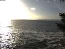 ./images/koeye/fitz-hugh/20201105/fitz-hugh20201105_152501.jpg
