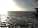 ./images/koeye/fitz-hugh/20201105/fitz-hugh20201105_153001.jpg