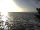 ./images/koeye/fitz-hugh/20201105/fitz-hugh20201105_153501.jpg