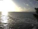 ./images/koeye/fitz-hugh/20201105/fitz-hugh20201105_154001.jpg