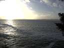 ./images/koeye/fitz-hugh/20201105/fitz-hugh20201105_154501.jpg