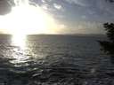 ./images/koeye/fitz-hugh/20201105/fitz-hugh20201105_155001.jpg