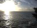 ./images/koeye/fitz-hugh/20201105/fitz-hugh20201105_155501.jpg
