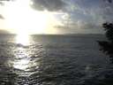 ./images/koeye/fitz-hugh/20201105/fitz-hugh20201105_160001.jpg
