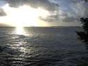 ./images/koeye/fitz-hugh/20201105/fitz-hugh20201105_160501.jpg