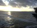 ./images/koeye/fitz-hugh/20201105/fitz-hugh20201105_161501.jpg