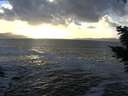 ./images/koeye/fitz-hugh/20201105/fitz-hugh20201105_162001.jpg