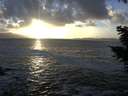./images/koeye/fitz-hugh/20201105/fitz-hugh20201105_162501.jpg